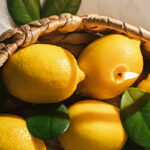 Fragrance Citronnelle