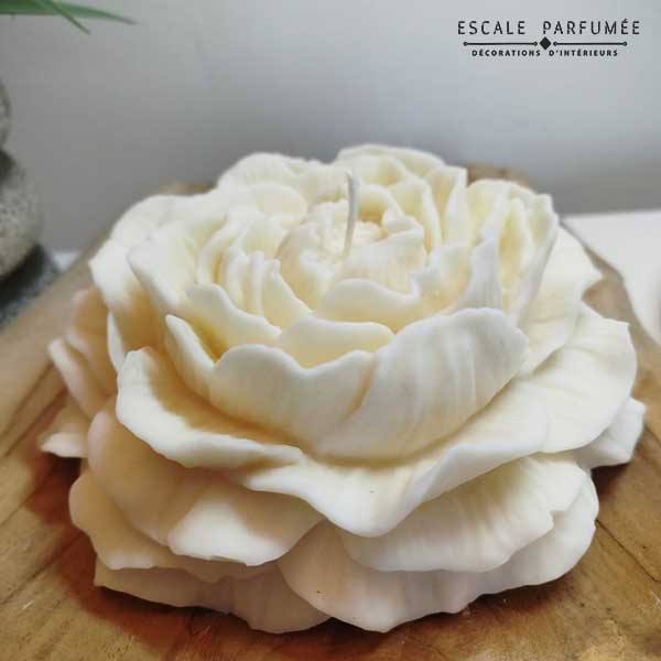 Bougie La Pivoine Royale XXL