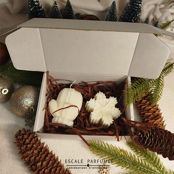 Coffret - Refuge Hivernal