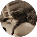 Romuald C. profile picture