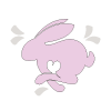 Sans Test Animal